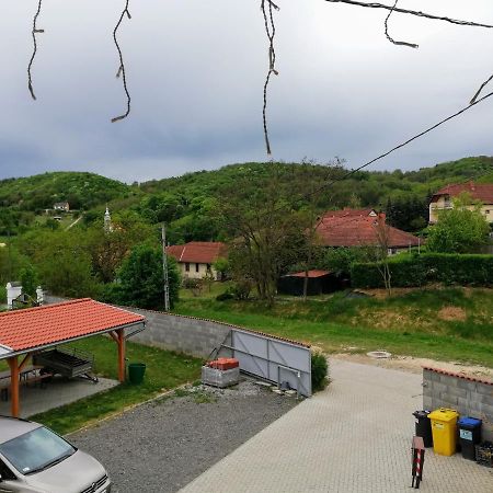 ホテル Lotuszvirag Vendeghaz Szekszárd エクステリア 写真