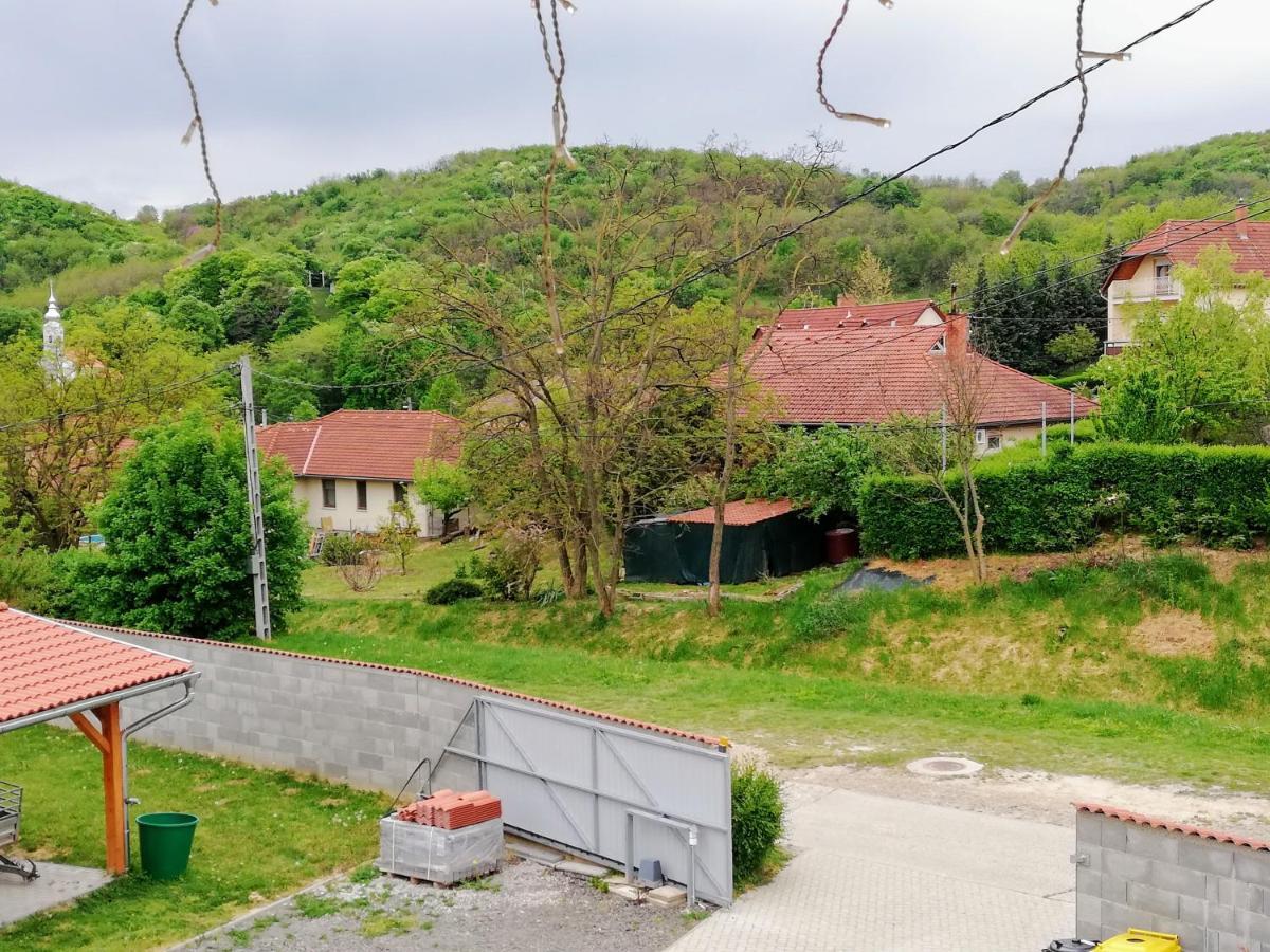 ホテル Lotuszvirag Vendeghaz Szekszárd エクステリア 写真